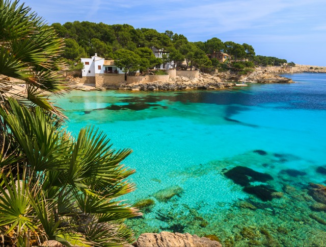 Blick auf eine sonnige Mittelmeerbucht auf Mallorca mit Palmen und Haus